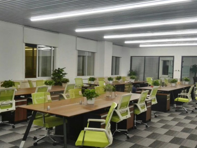 办公室绿植租摆 员工区花卉案例