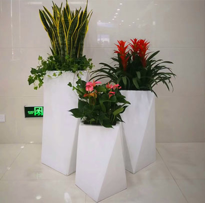 东莞办公室绿植租赁 组合盆景